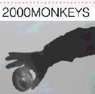 2000 Monkeys :: 2000 Monkeys