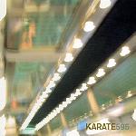 Karate :: 595