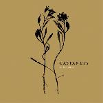 Castanets :: In the Vines